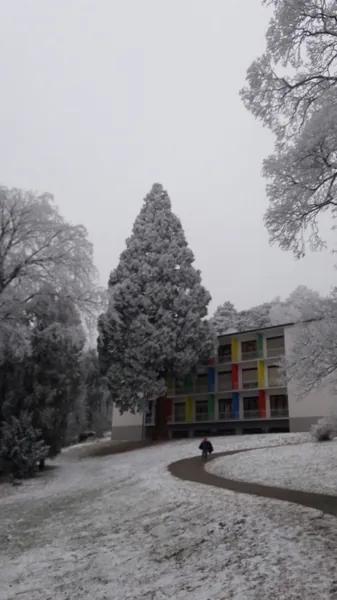 snowy school