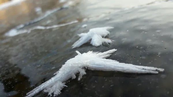 snow crystals on ice II
