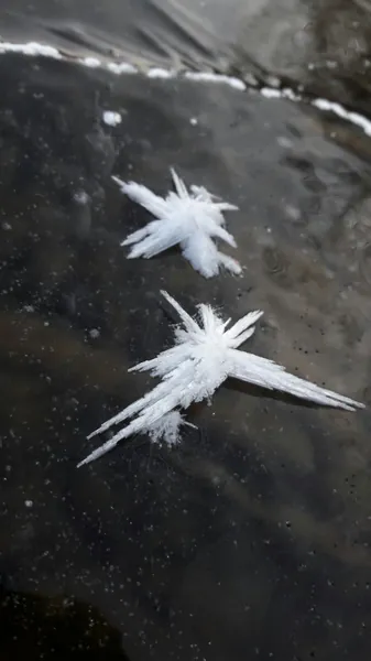 snow crystals on ice