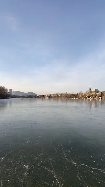 ice ice baby