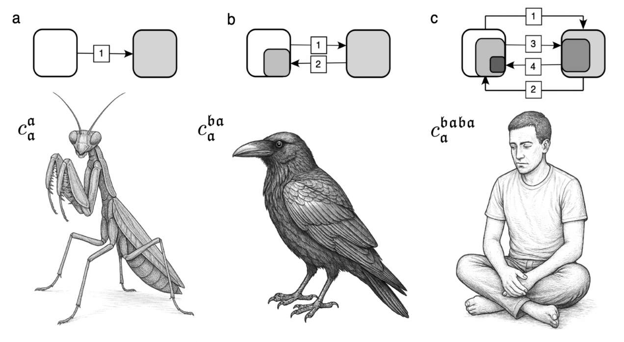 Illustration of orders of self, showing a mantis (1st-order), a raven (2nd-order), and a human (3rd-order) with corresponding diagrammatic squares representing internal models.